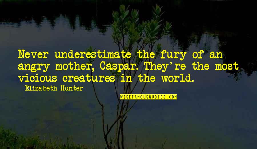 A Mothers Fury Quotes By Elizabeth Hunter: Never underestimate the fury of an angry mother, A Mothers Fury Quotes By Elizabeth Hunter: Never underestimate the fury of an angry mother,
