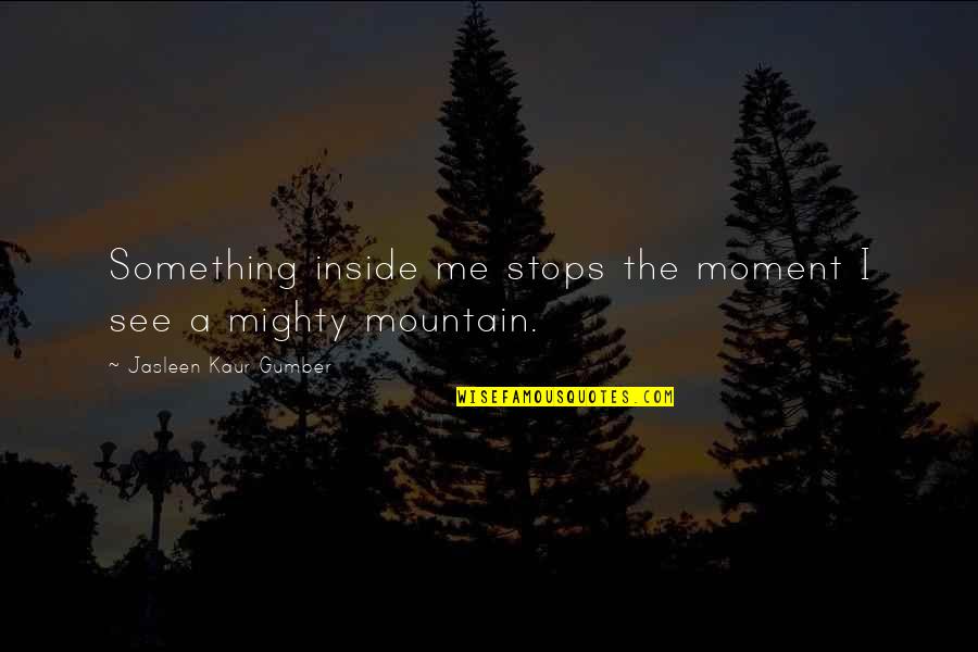 A Mountain Quotes By Jasleen Kaur Gumber: Something inside me stops the moment I see