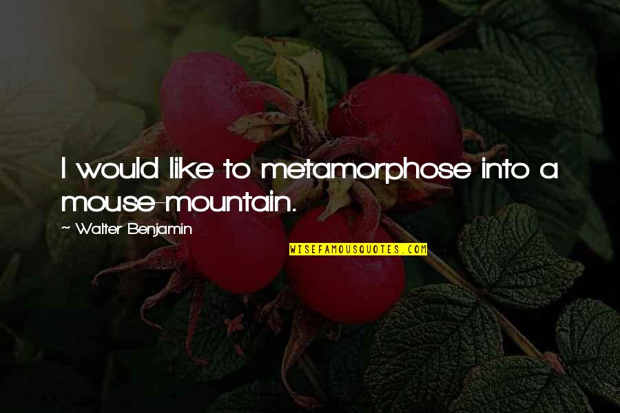 A Mountain Quotes By Walter Benjamin: I would like to metamorphose into a mouse-mountain. A Mountain Quotes By Walter Benjamin: I would like to metamorphose into a mouse-mountain.
