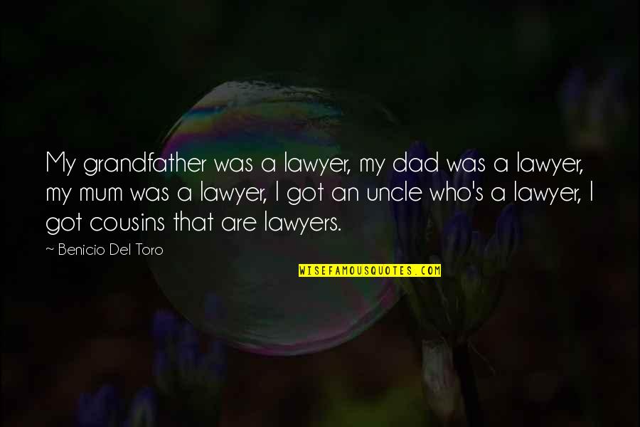 A Mum Quotes By Benicio Del Toro: My grandfather was a lawyer, my dad was
