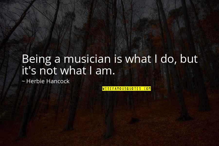 A Musician Quotes By Herbie Hancock: Being a musician is what I do, but A Musician Quotes By Herbie Hancock: Being a musician is what I do, but