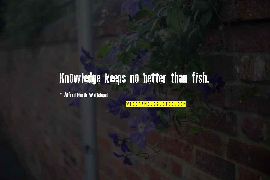 A N Whitehead Quotes By Alfred North Whitehead: Knowledge keeps no better than fish.