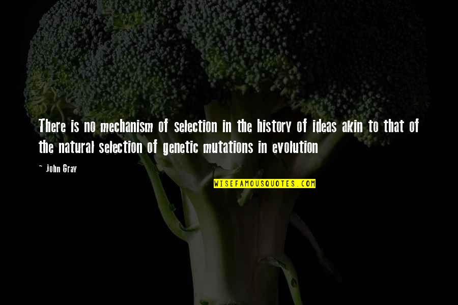 A Natural History Quotes By John Gray: There is no mechanism of selection in the A Natural History Quotes By John Gray: There is no mechanism of selection in the