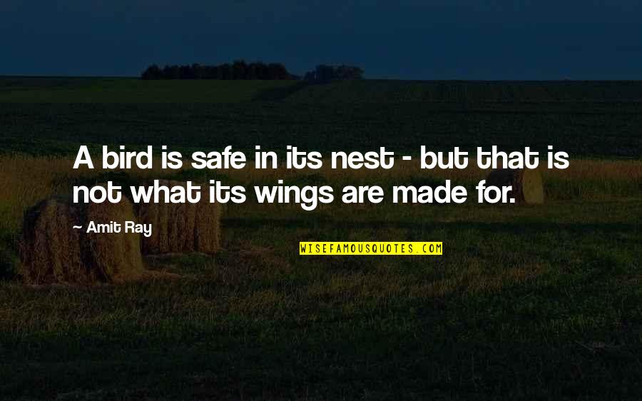 A Nest Quotes By Amit Ray: A bird is safe in its nest -