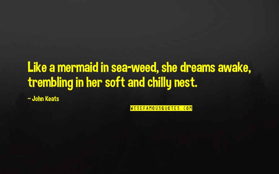 A Nest Quotes By John Keats: Like a mermaid in sea-weed, she dreams awake,