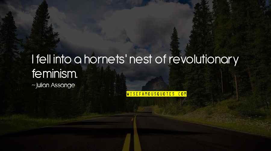 A Nest Quotes By Julian Assange: I fell into a hornets' nest of revolutionary