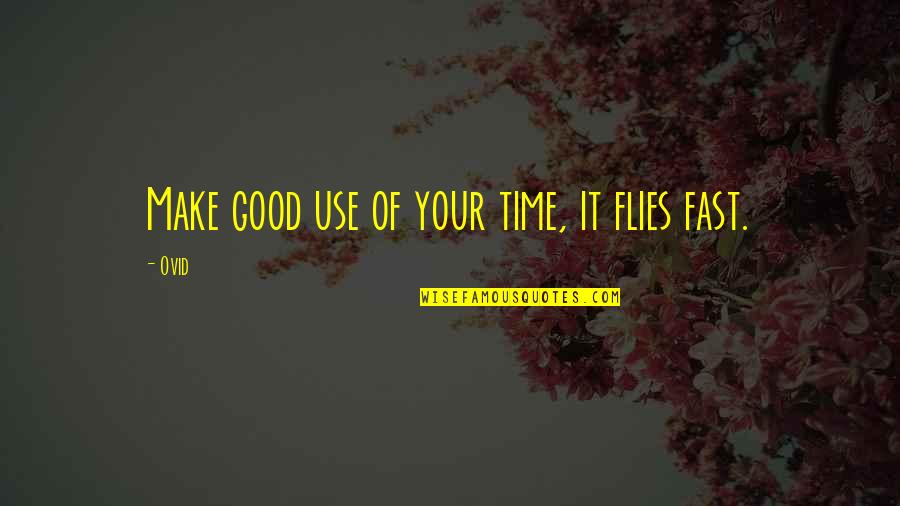 A New Baby Girl Quotes By Ovid: Make good use of your time, it flies