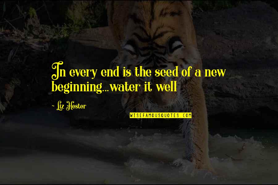 A New Beginning Quotes By Liz Hester: In every end is the seed of a