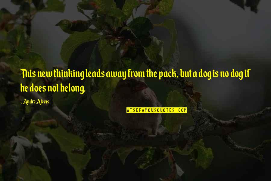 A New Dog Quotes By Andre Alexis: This new thinking leads away from the pack, A New Dog Quotes By Andre Alexis: This new thinking leads away from the pack,