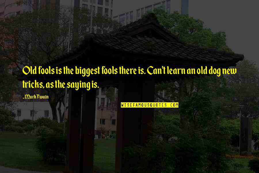 A New Dog Quotes By Mark Twain: Old fools is the biggest fools there is. A New Dog Quotes By Mark Twain: Old fools is the biggest fools there is.