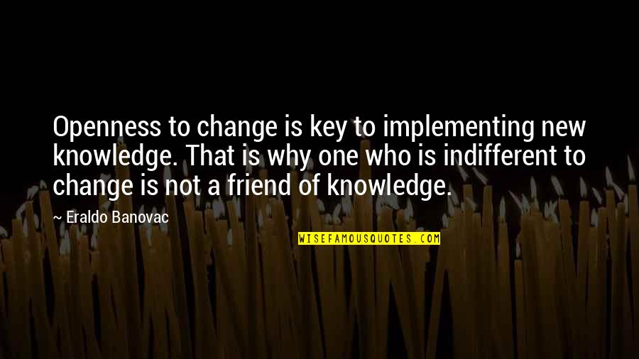 A New Friend Quotes By Eraldo Banovac: Openness to change is key to implementing new