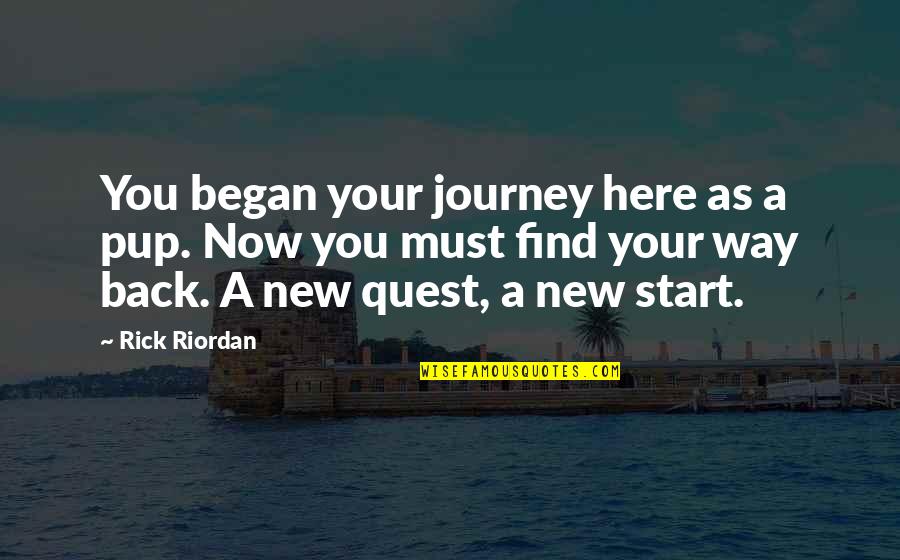 A New Journey Quotes By Rick Riordan: You began your journey here as a pup.