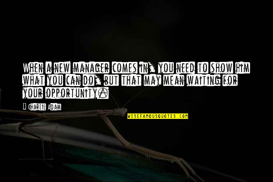 A New Opportunity Quotes By Charlie Adam: When a new manager comes in, you need A New Opportunity Quotes By Charlie Adam: When a new manager comes in, you need