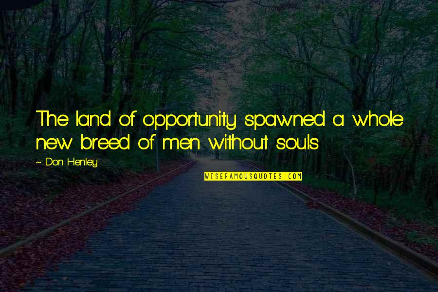 A New Opportunity Quotes By Don Henley: The land of opportunity spawned a whole new