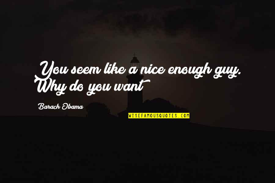 A Nice Guy Quotes By Barack Obama: You seem like a nice enough guy. Why