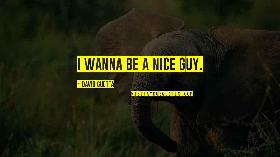 A Nice Guy Quotes By David Guetta: I wanna be a nice guy.