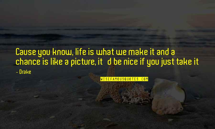A Nice Picture Quotes By Drake: Cause you know, life is what we make