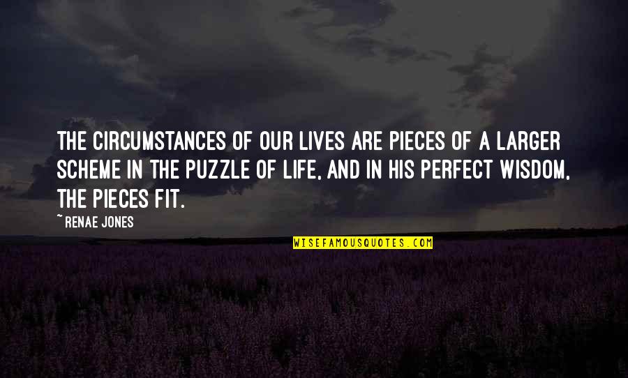 A Non Perfect Life Quotes By Renae Jones: The circumstances of our lives are pieces of