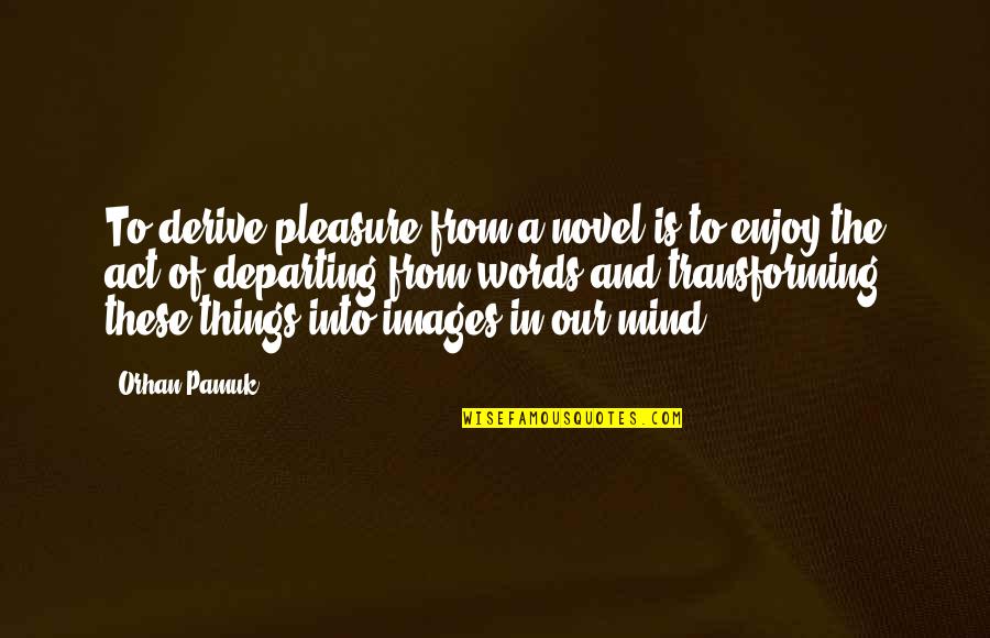 A Novel In Quotes By Orhan Pamuk: To derive pleasure from a novel is to