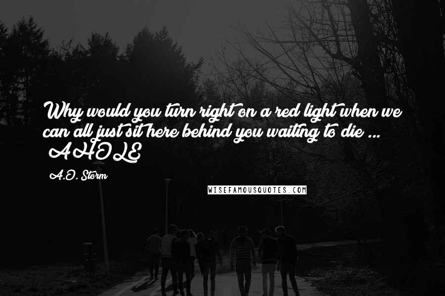 A.O. Storm quotes: Why would you turn right on a red light when we can all just sit here behind you waiting to die ... #AHOLE