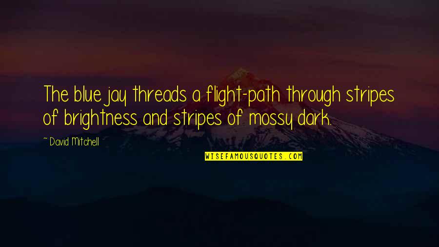 A Path Through Quotes By David Mitchell: The blue jay threads a flight-path through stripes