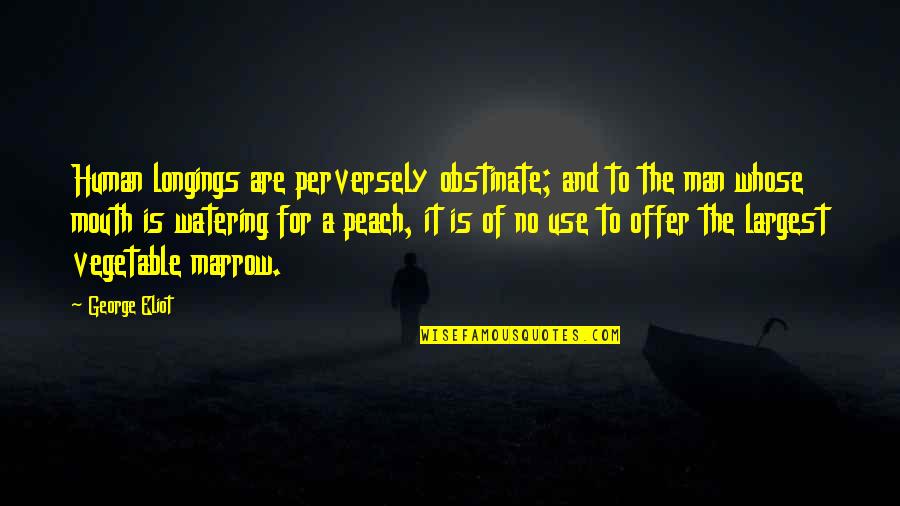 A Peach Quotes By George Eliot: Human longings are perversely obstinate; and to the A Peach Quotes By George Eliot: Human longings are perversely obstinate; and to the