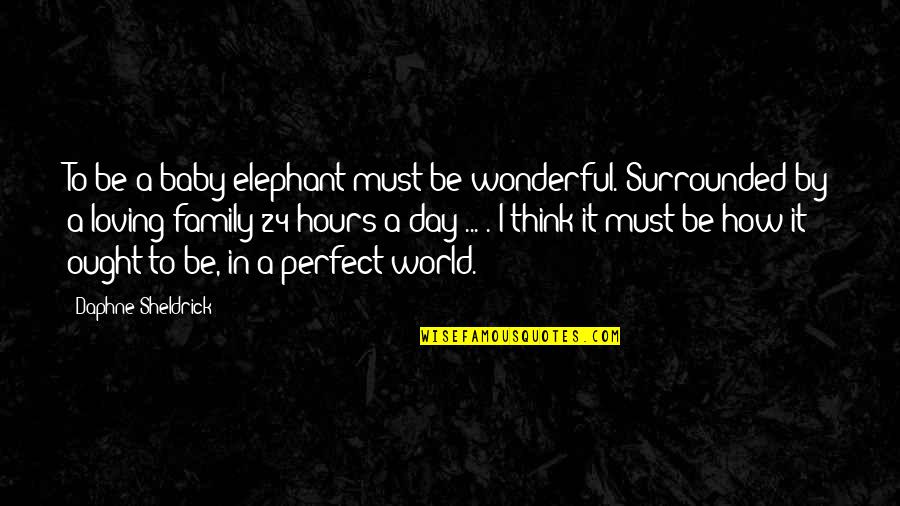 A Perfect Family Quotes By Daphne Sheldrick: To be a baby elephant must be wonderful.