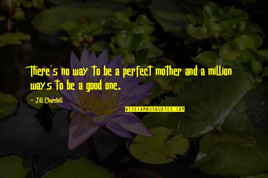 A Perfect Family Quotes By Jill Churchill: There's no way to be a perfect mother