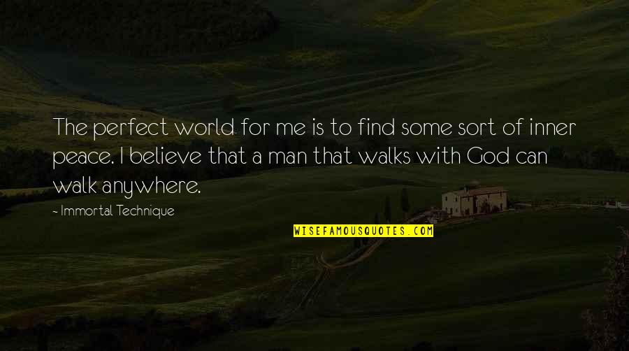 A Perfect Man Quotes By Immortal Technique: The perfect world for me is to find