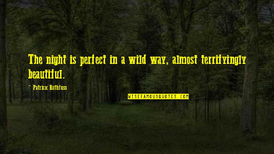 A Perfect Night Quotes By Patrick Rothfuss: The night is perfect in a wild way,