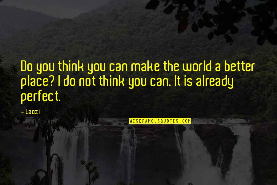 A Perfect Place Quotes By Laozi: Do you think you can make the world