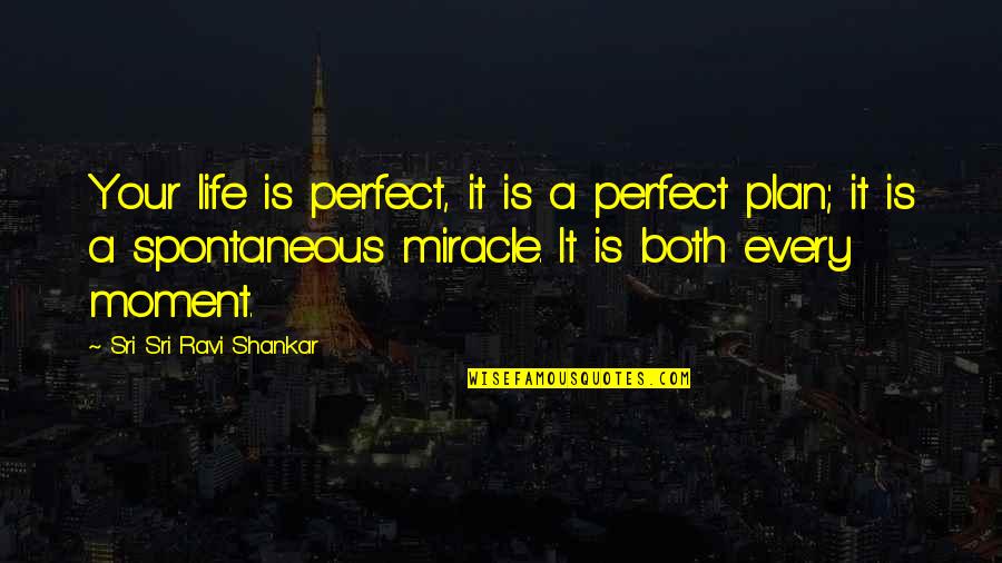 A Perfect Plan Quotes By Sri Sri Ravi Shankar: Your life is perfect, it is a perfect A Perfect Plan Quotes By Sri Sri Ravi Shankar: Your life is perfect, it is a perfect