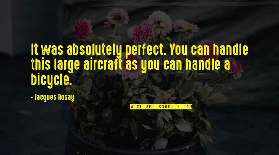 A Perfect Quotes By Jacques Rosay: It was absolutely perfect. You can handle this A Perfect Quotes By Jacques Rosay: It was absolutely perfect. You can handle this