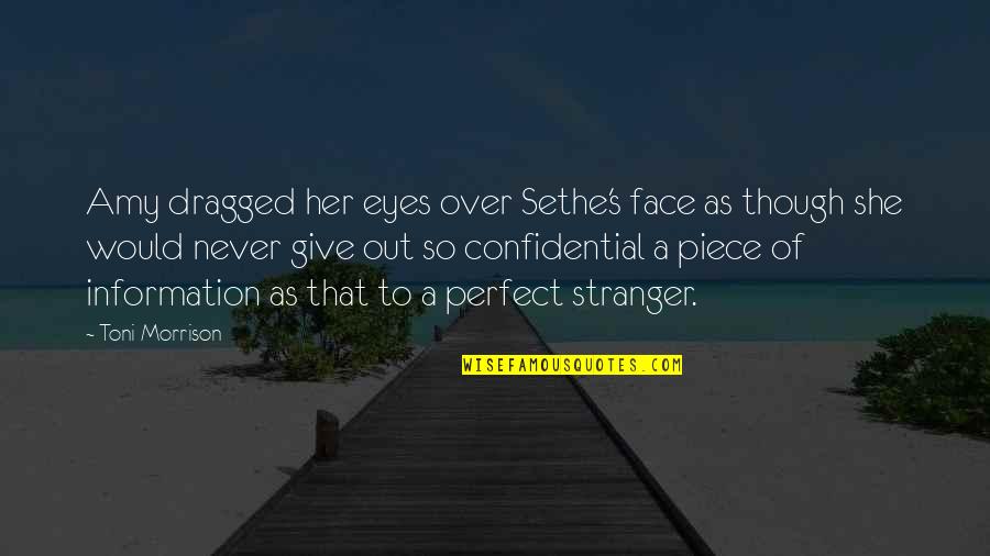 A Perfect Stranger Quotes By Toni Morrison: Amy dragged her eyes over Sethe's face as