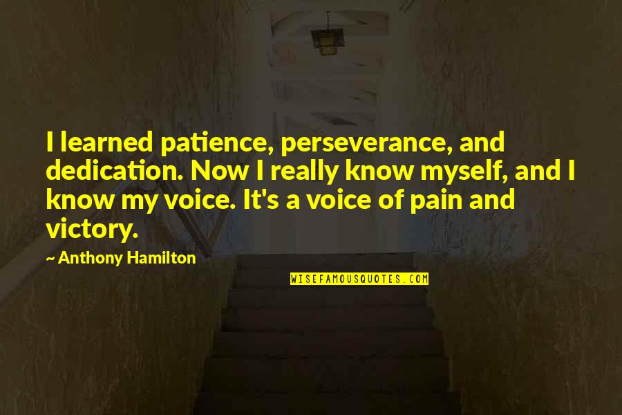 A Perseverance Quotes By Anthony Hamilton: I learned patience, perseverance, and dedication. Now I