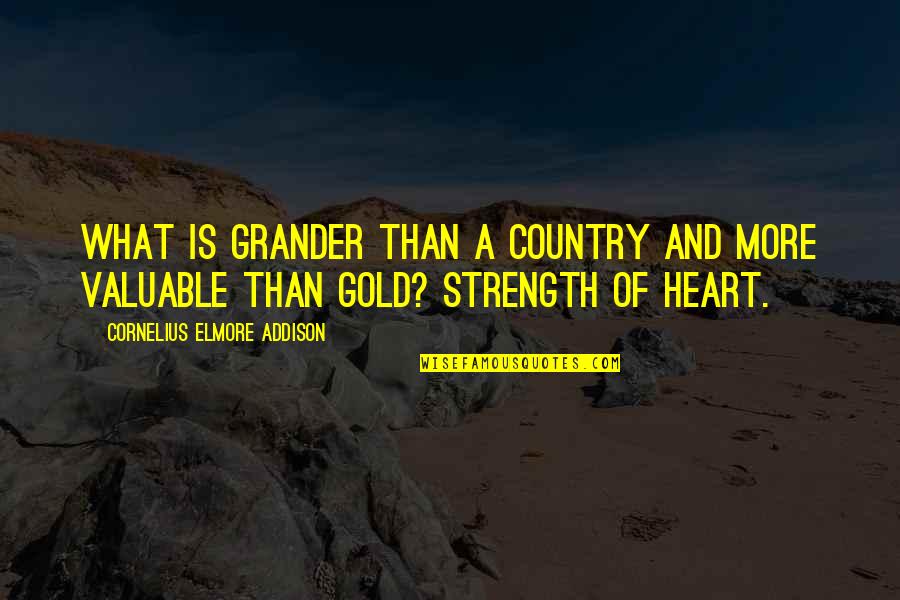 A Perseverance Quotes By Cornelius Elmore Addison: What is grander than a country and more