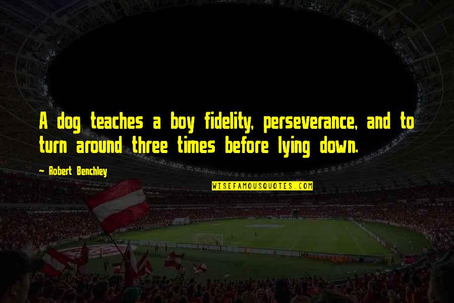 A Perseverance Quotes By Robert Benchley: A dog teaches a boy fidelity, perseverance, and