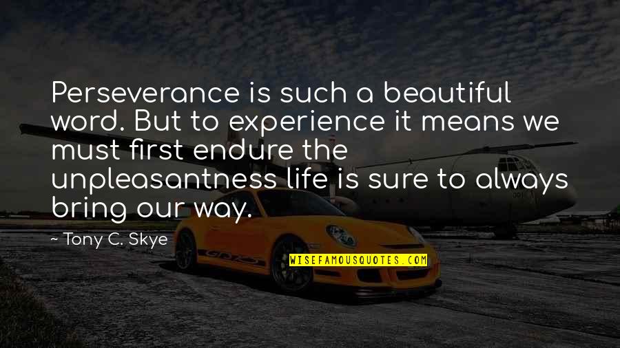 A Perseverance Quotes By Tony C. Skye: Perseverance is such a beautiful word. But to