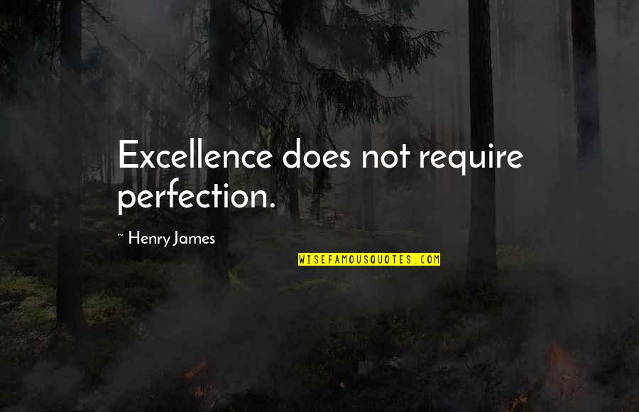 A Person Coming Into Your Life Quotes By Henry James: Excellence does not require perfection.