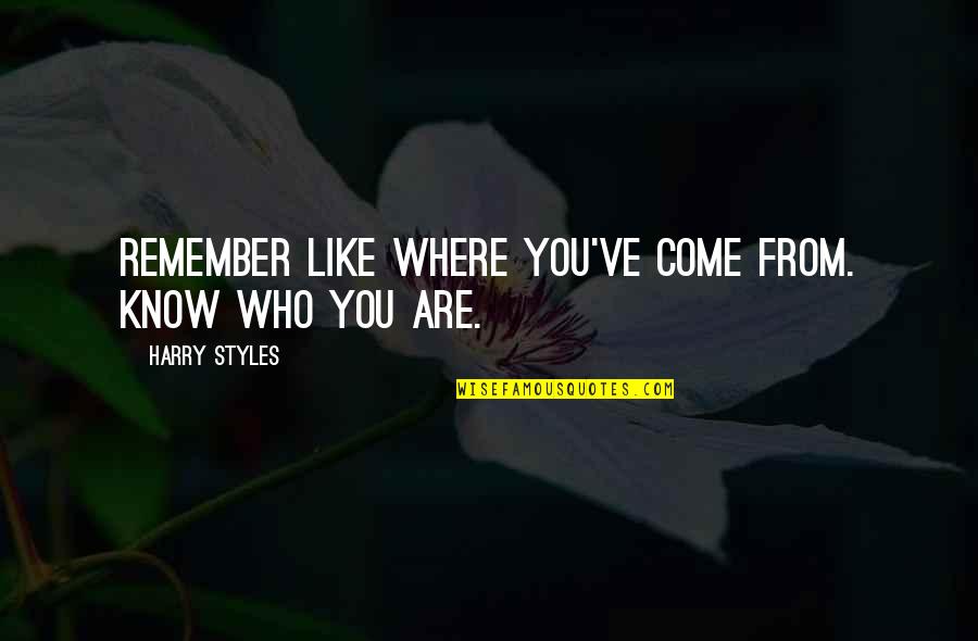 A Person Who Never Made A Mistake Quotes By Harry Styles: Remember like where you've come from. Know who