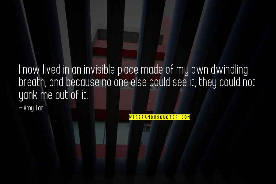 A Person's True Colors Quotes By Amy Tan: I now lived in an invisible place made