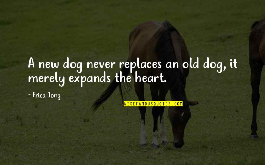 A Pet Quotes By Erica Jong: A new dog never replaces an old dog,