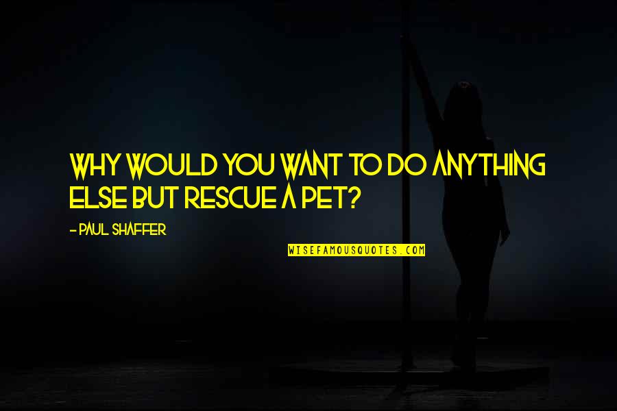 A Pet Quotes By Paul Shaffer: Why would you want to do anything else