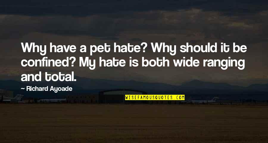 A Pet Quotes By Richard Ayoade: Why have a pet hate? Why should it
