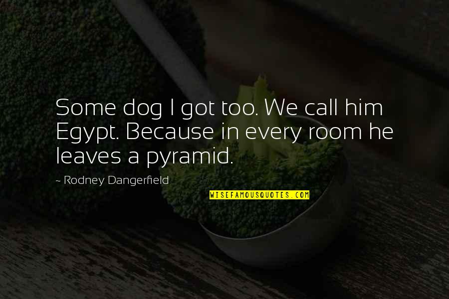 A Pet Quotes By Rodney Dangerfield: Some dog I got too. We call him