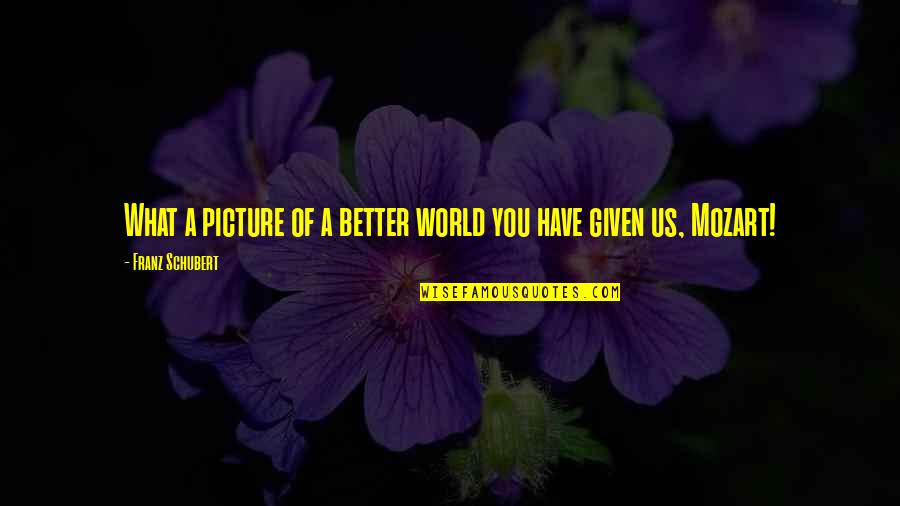 A Picture Quotes By Franz Schubert: What a picture of a better world you