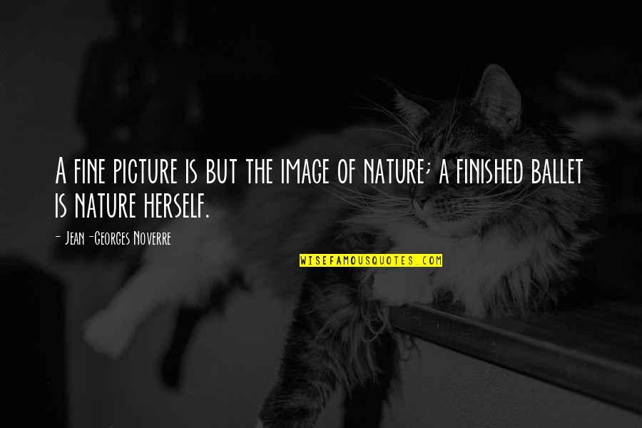 A Picture Quotes By Jean-Georges Noverre: A fine picture is but the image of