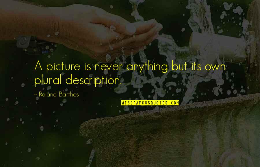 A Picture Quotes By Roland Barthes: A picture is never anything but its own
