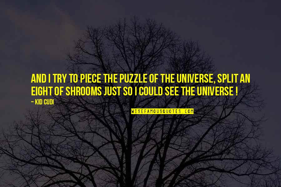 A Piece Of The Puzzle Quotes By Kid Cudi: And I try to piece the puzzle of
