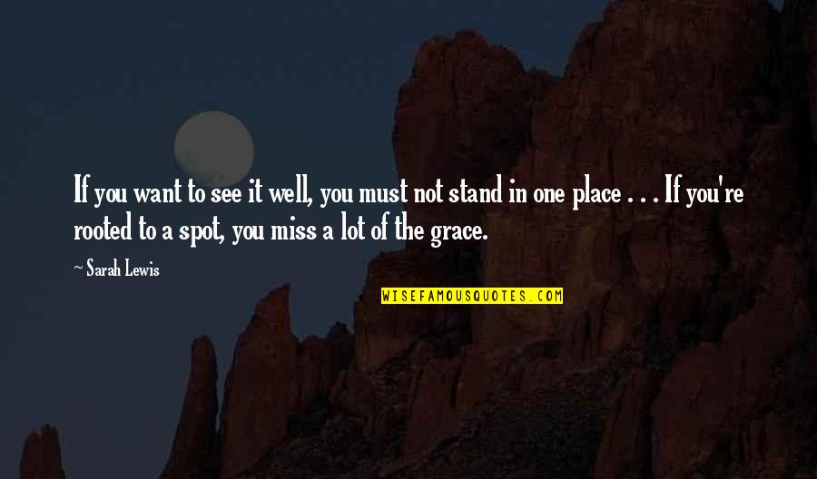 A Place You Miss Quotes By Sarah Lewis: If you want to see it well, you